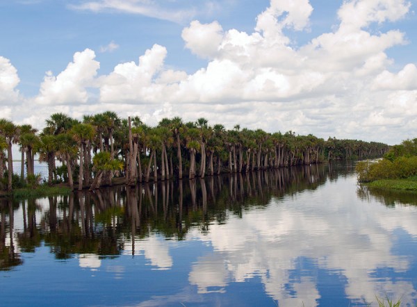 stick marsh farm 13 florida fishing guide