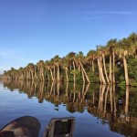 Airboat Stick Marsh / Farm 13 Fishing